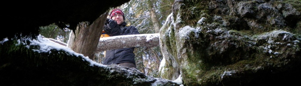 Viikon kuva 2 / 2012