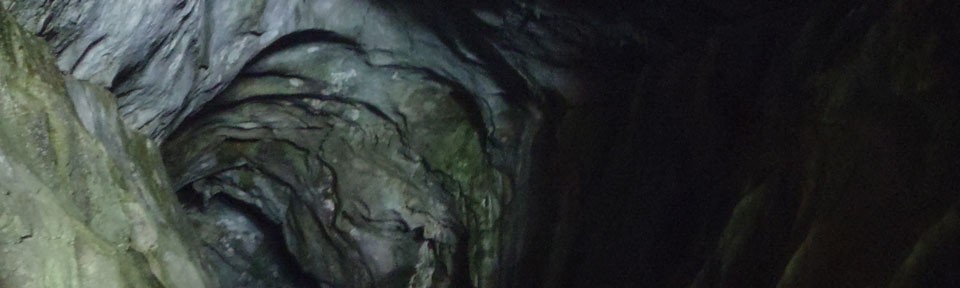 Viikon kuva 8 / 2012