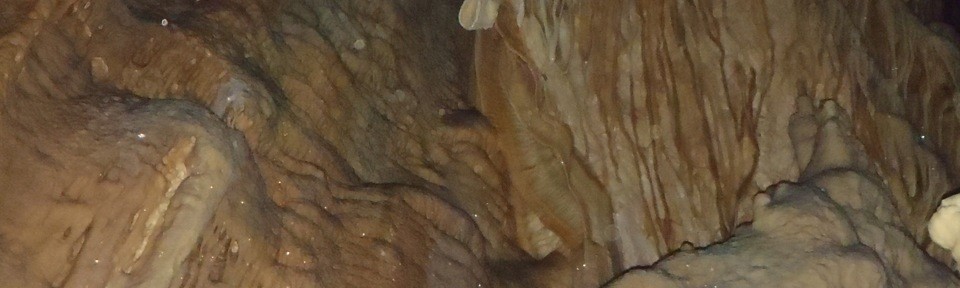 Viikon kuva 10 / 2012