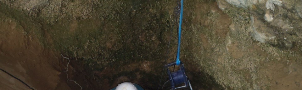 Viikon kuva 12 / 2012