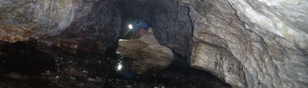 Viikon kuva 13 / 2012