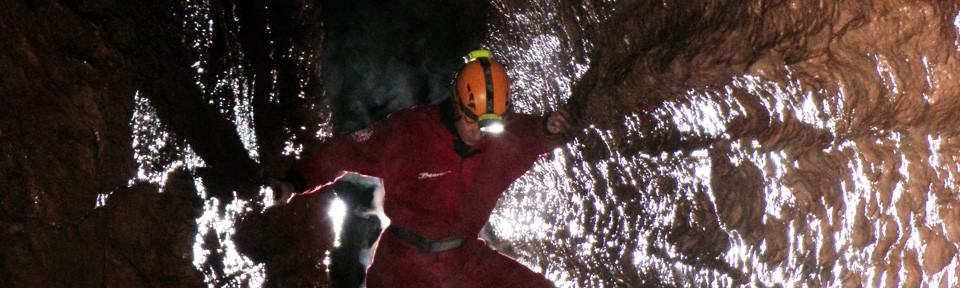 Viikon kuva 14 / 2012