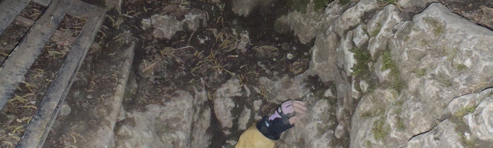 Viikon kuva 15 / 2012