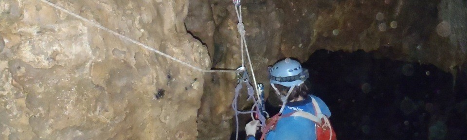 Viikon kuva 17 / 2012