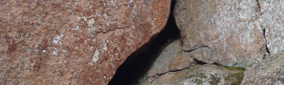 Viikon kuva 22 / 2012