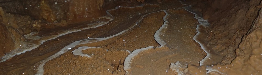 Viikon kuva 21 / 2012