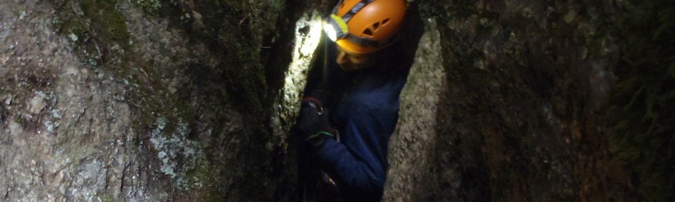 Viikon kuva 25 / 2012