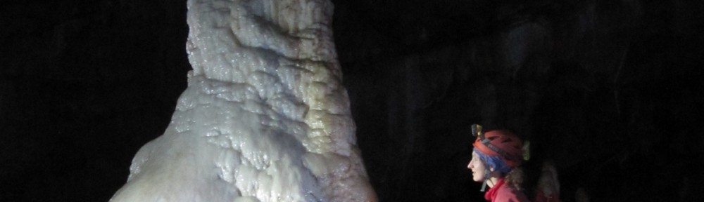 Viikon kuva 30 / 2012