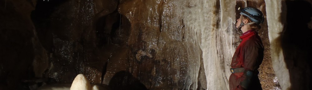 Viikon kuva 27 / 2012