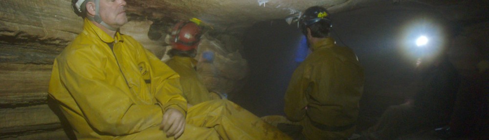 Viikon kuva 2 / 2013