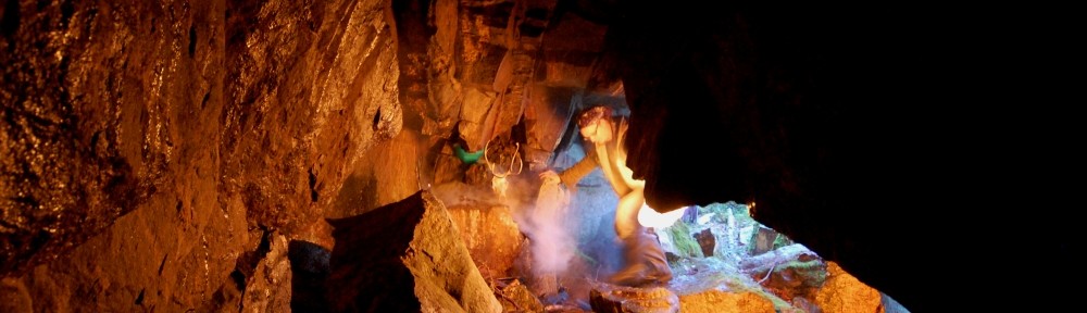 Viikon kuva 5 / 2013