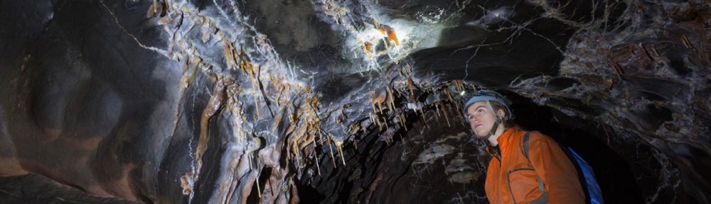 Viikon kuva 1 / 2013