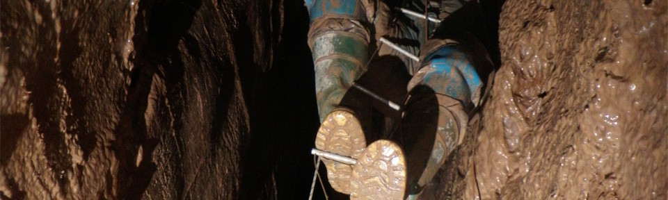 Viikon kuva 3 / 2013