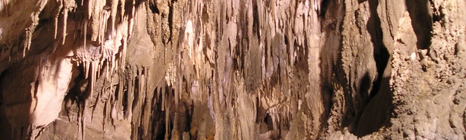 Viikon kuva 6 / 2013