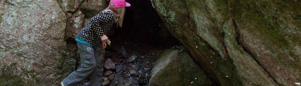 Viikon kuva 7 / 2013