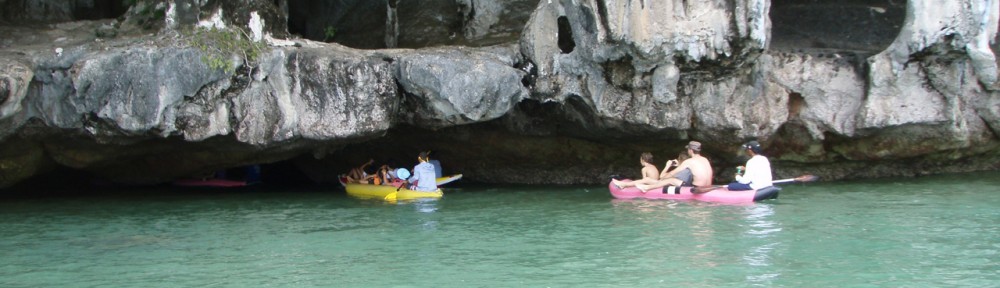 Viikon kuva 12 / 2013