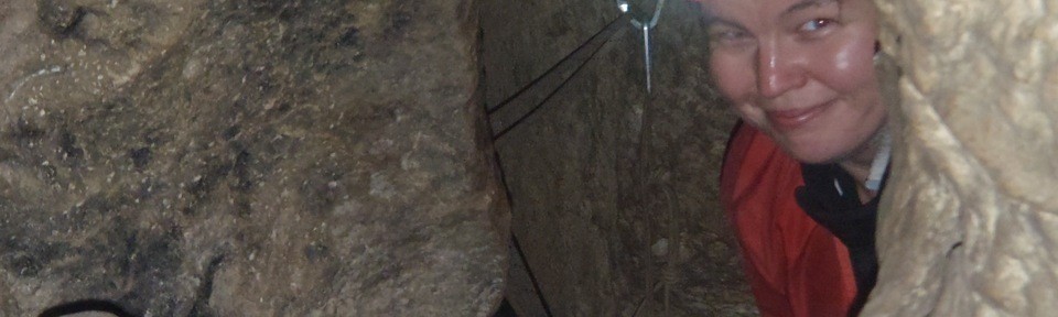 Viikon kuva 13 / 2013