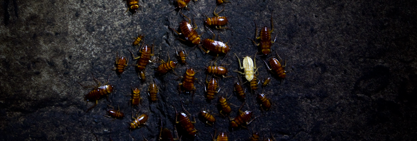 Viikon kuva 10 / 2013