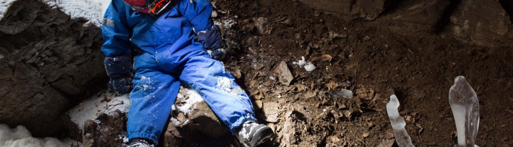 Viikon kuva 11 / 2013