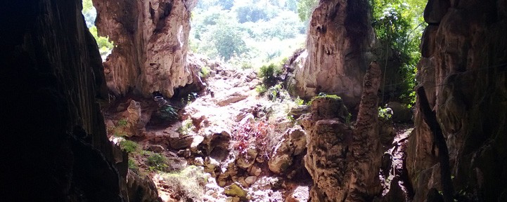 Viikon kuva 16 / 2013