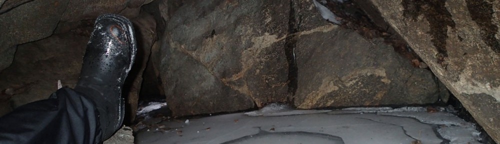 Viikon kuva 15 / 2013