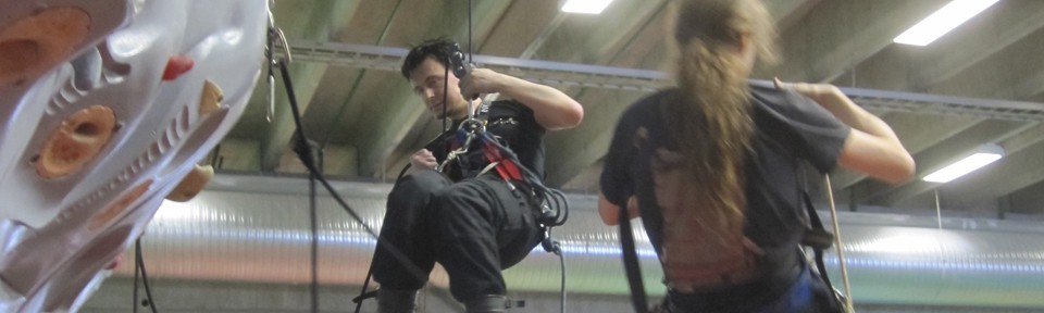 Viikon kuva 18 / 2013