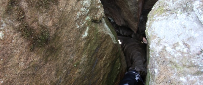 Viikon kuva 17 / 2013