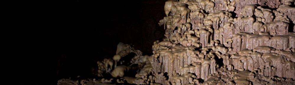 Viikon kuva 19 / 2013