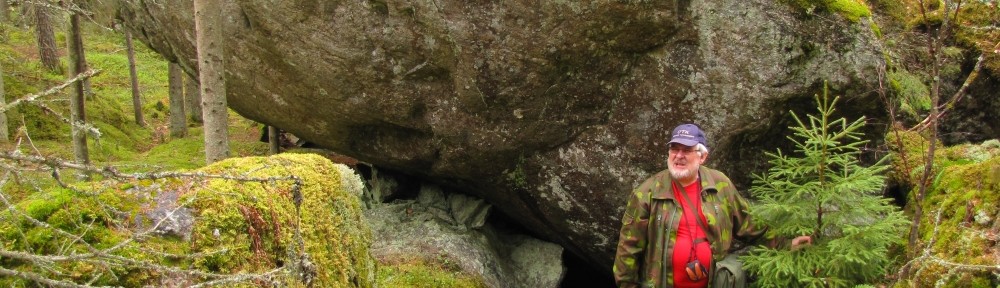 Viikon kuva 24 / 2013