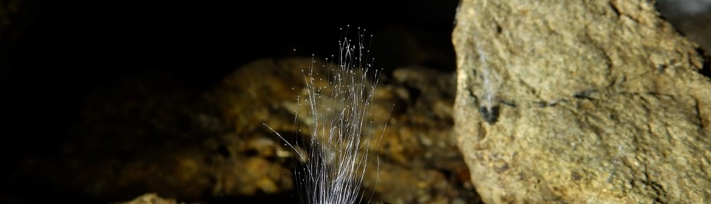 Viikon kuva 3 / 2014