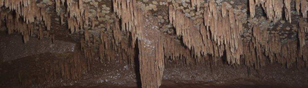 Viikon kuva 4 / 2014