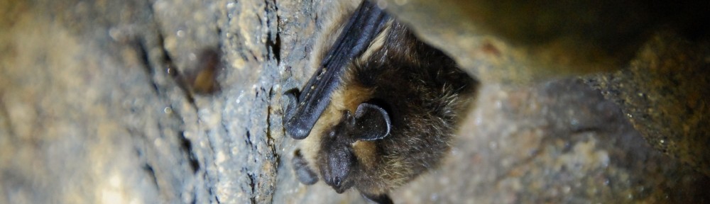 Viikon kuva 6 / 2014