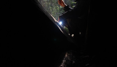 Viikon kuva 10 / 2014