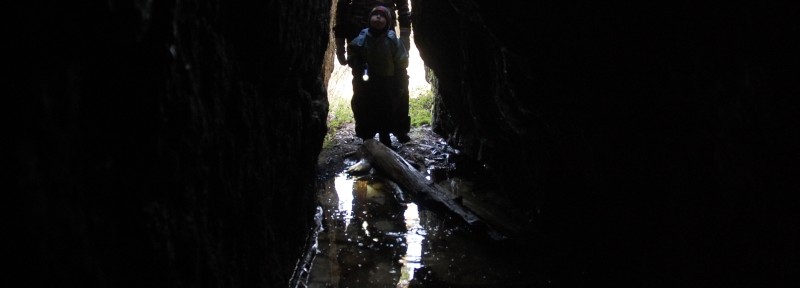 Viikon kuva 12 / 2014