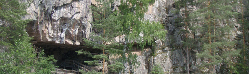 Viikon kuva 15 / 2014