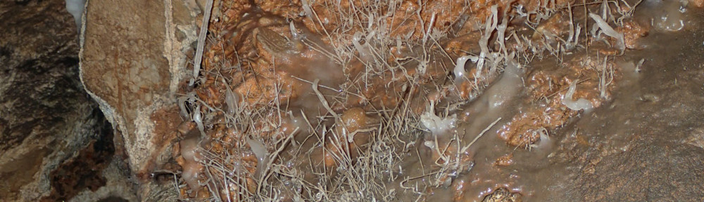 Viikon kuva 14 / 2014