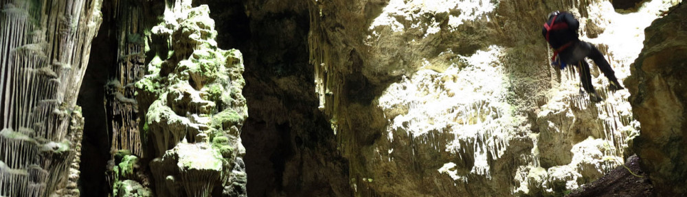 Viikon kuva 19 / 2014