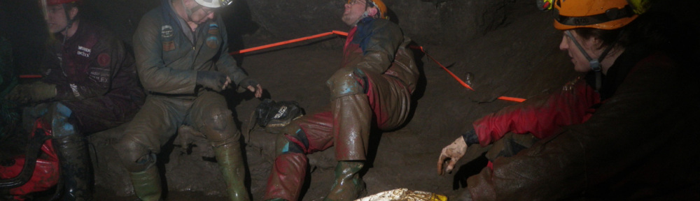 Viikon kuva 13 / 2015